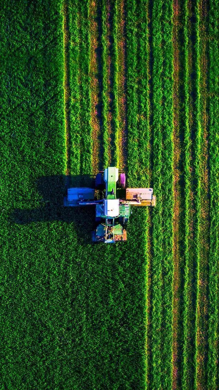 How 'Map My Crop' is revolutionizing agriculture in India