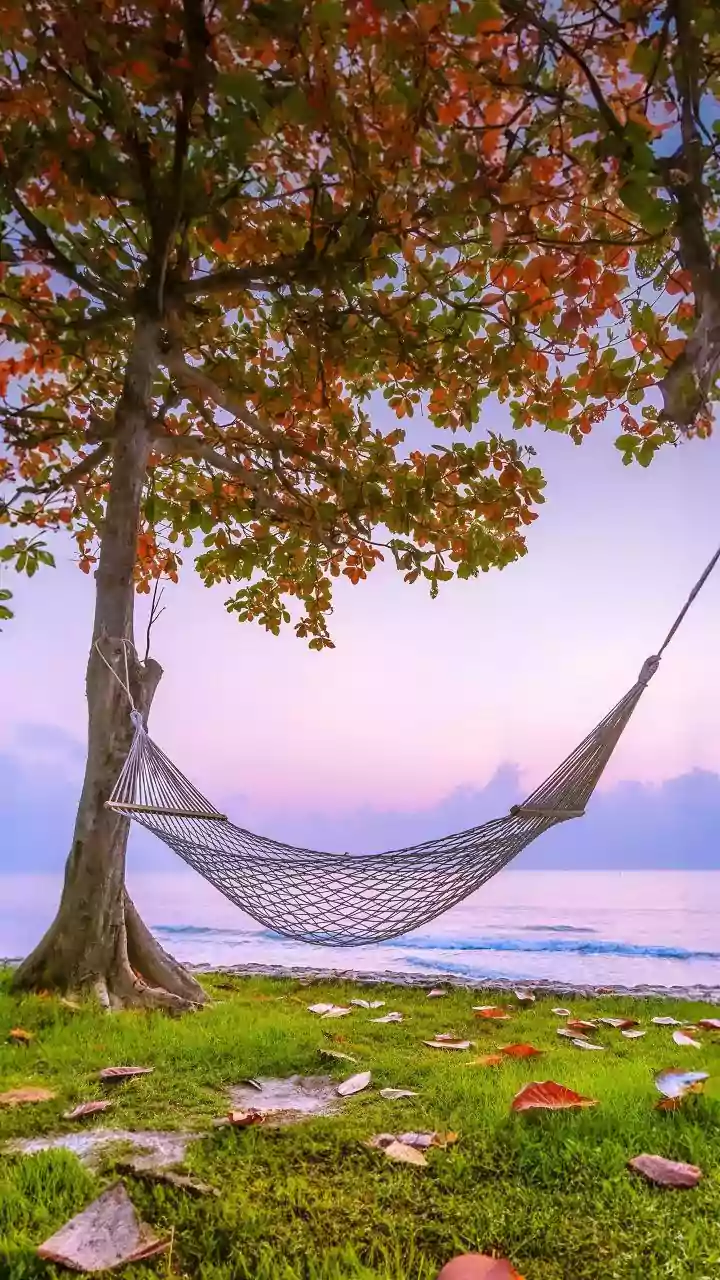 The Weekend Unplugged: Embracing 'Loudly Relaxing' as the New Status Symbol