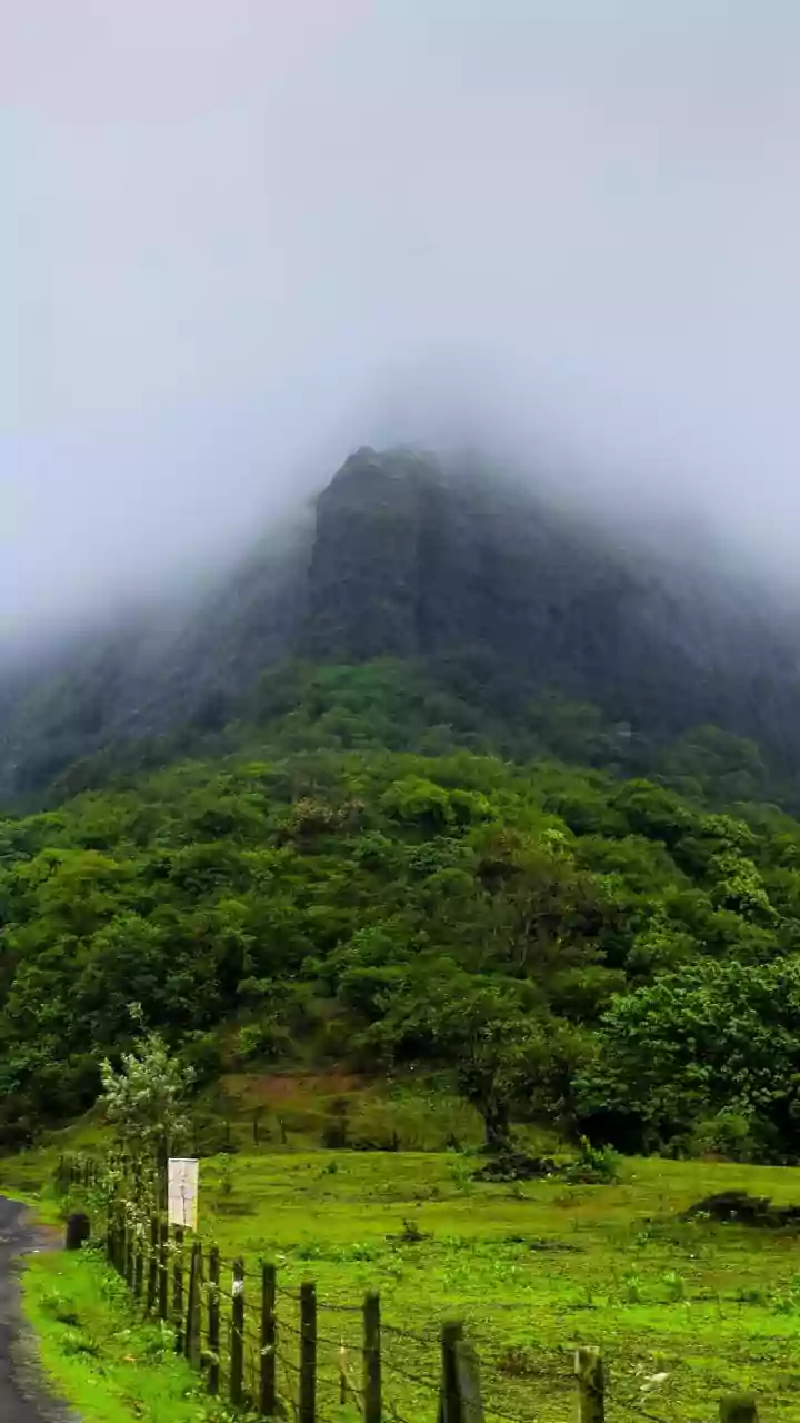 Perfectly Time Your Next Western Ghats Monsoon Road Trip