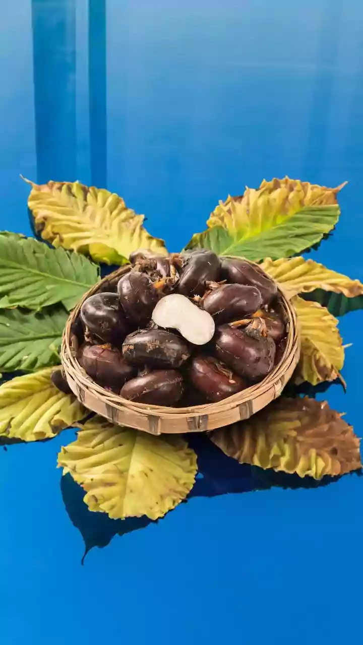 Singhara for Weight Loss: 5 Health Perks