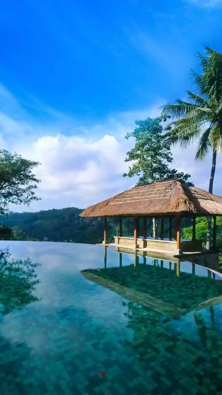 Rain Harvested Resorts In Wayanad Create Top Sustainable Weekend Escape Destinations