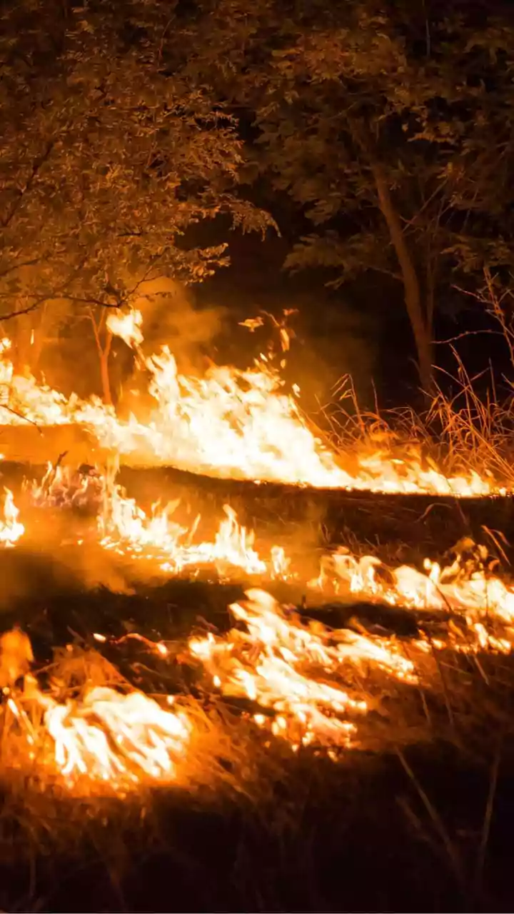 Mumbai News: Fire Breaks Out Near Coastal Road Project At Marine Drive, Traffic Temporarily Disrupted; Video