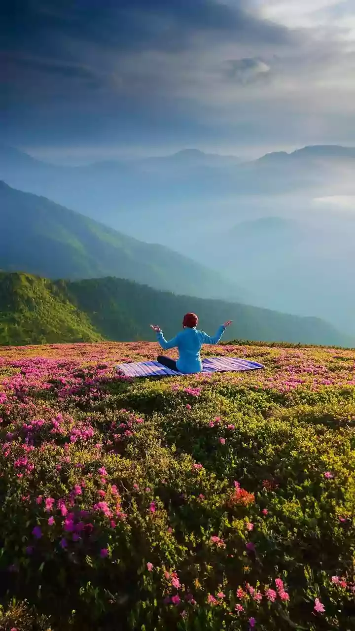 Responsible Visitors Should Admire Neelakurinji Without Touching the Flowers
