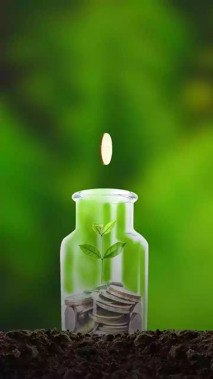 Secure Crucial Capital Foundations Before Trying Speculative Investment Portfolios Today