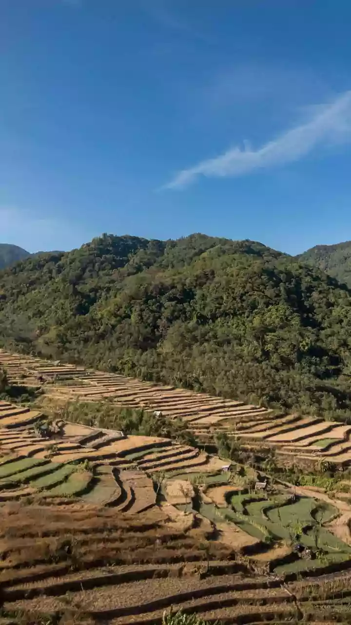 Nagaland Agriculture Policy 2025 Aims to Transform Rural Economy