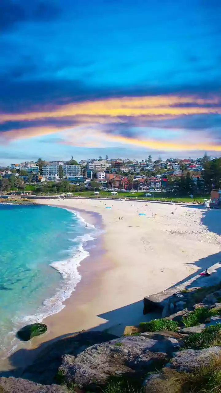 Bondi Beach attack signals alarming resurgence of Islamic State