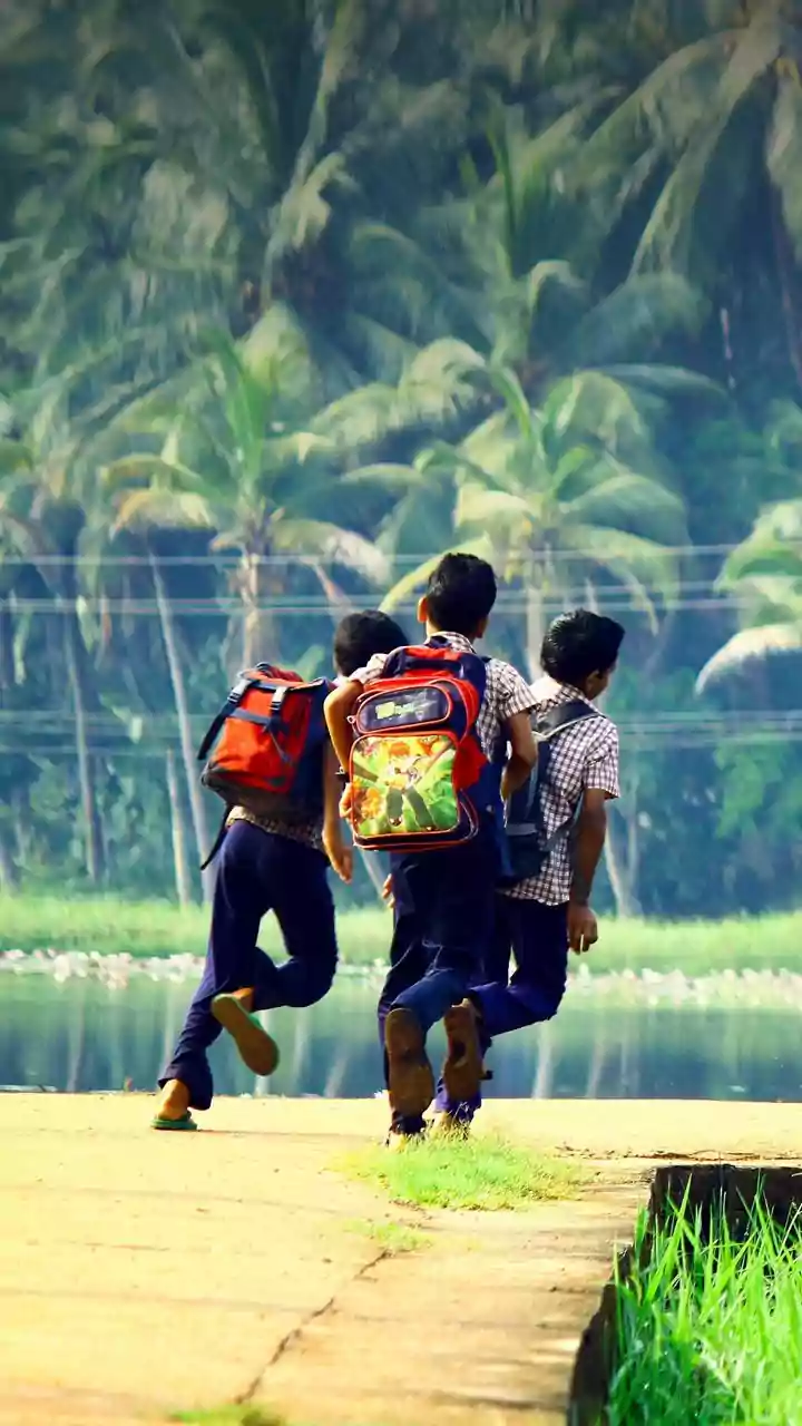 Summer Fun & Study: A Kid's Guide!