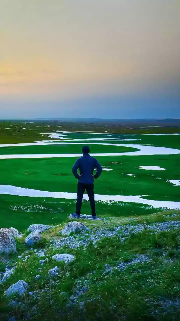 Unpacking the Allure of Solitude: Understanding Its Nuances