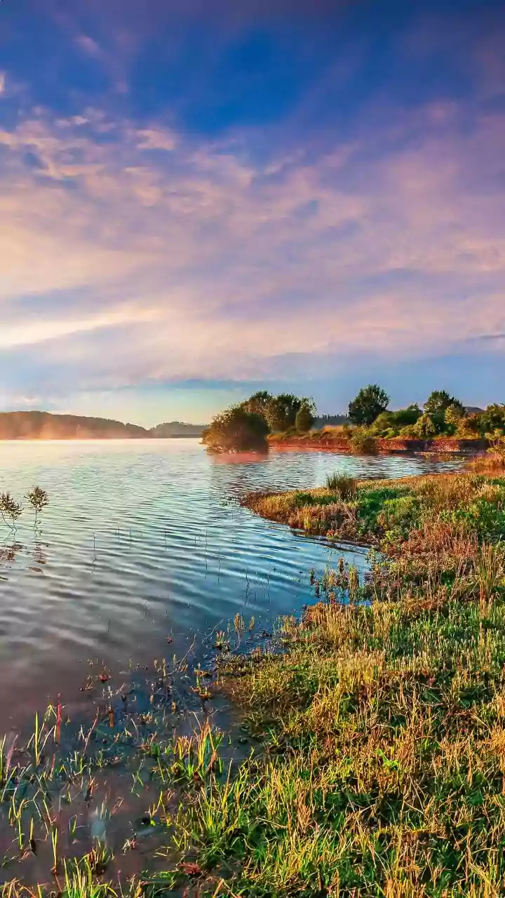 Ancient Pollen Beneath a Chhattisgarh Lake Puts Long-Term Climate Clues Beside Lake Sediments