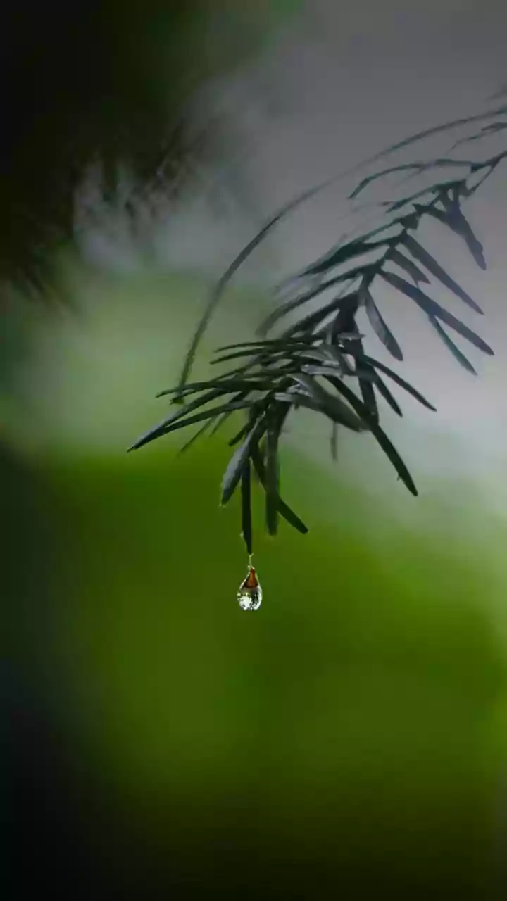 Rainy Weather Can Still Feel Dangerously Hot During Monsoon
