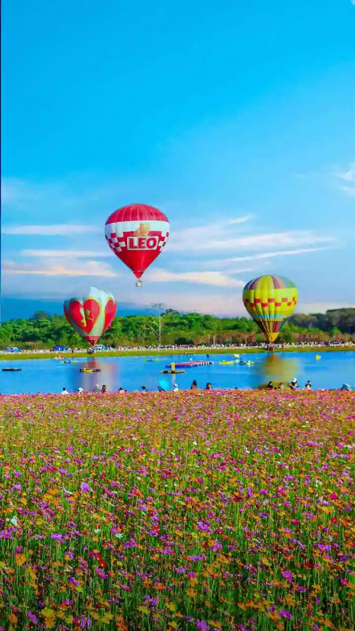 Hot Air Balloon Festival takes off in Hyderabad