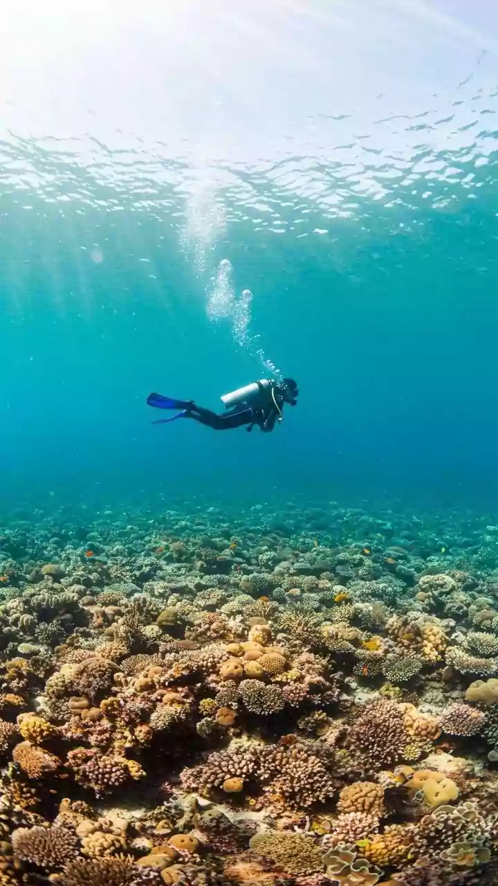 What Is Oxygen Toxicity? Factors That Might Have Caused 5 Tourists’ Deaths In The Maldives