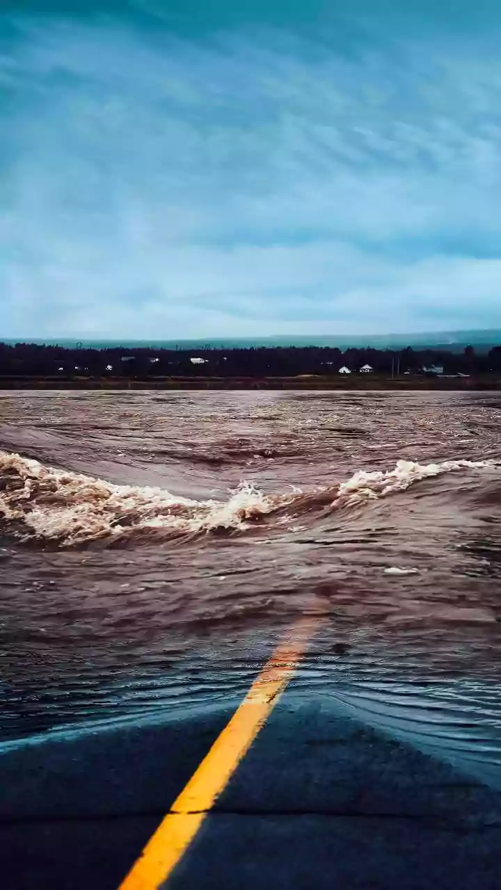 Cyclone Arnab causes widespread disruption in Andhra Pradesh