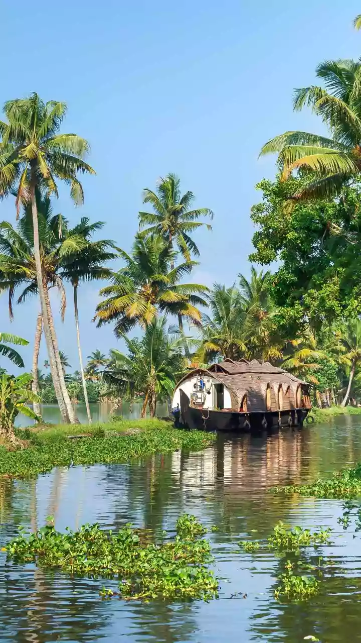 How Traditional Preparation Rituals Help Kerala Snake Boats Achieve Maximum Velocity On Backwaters