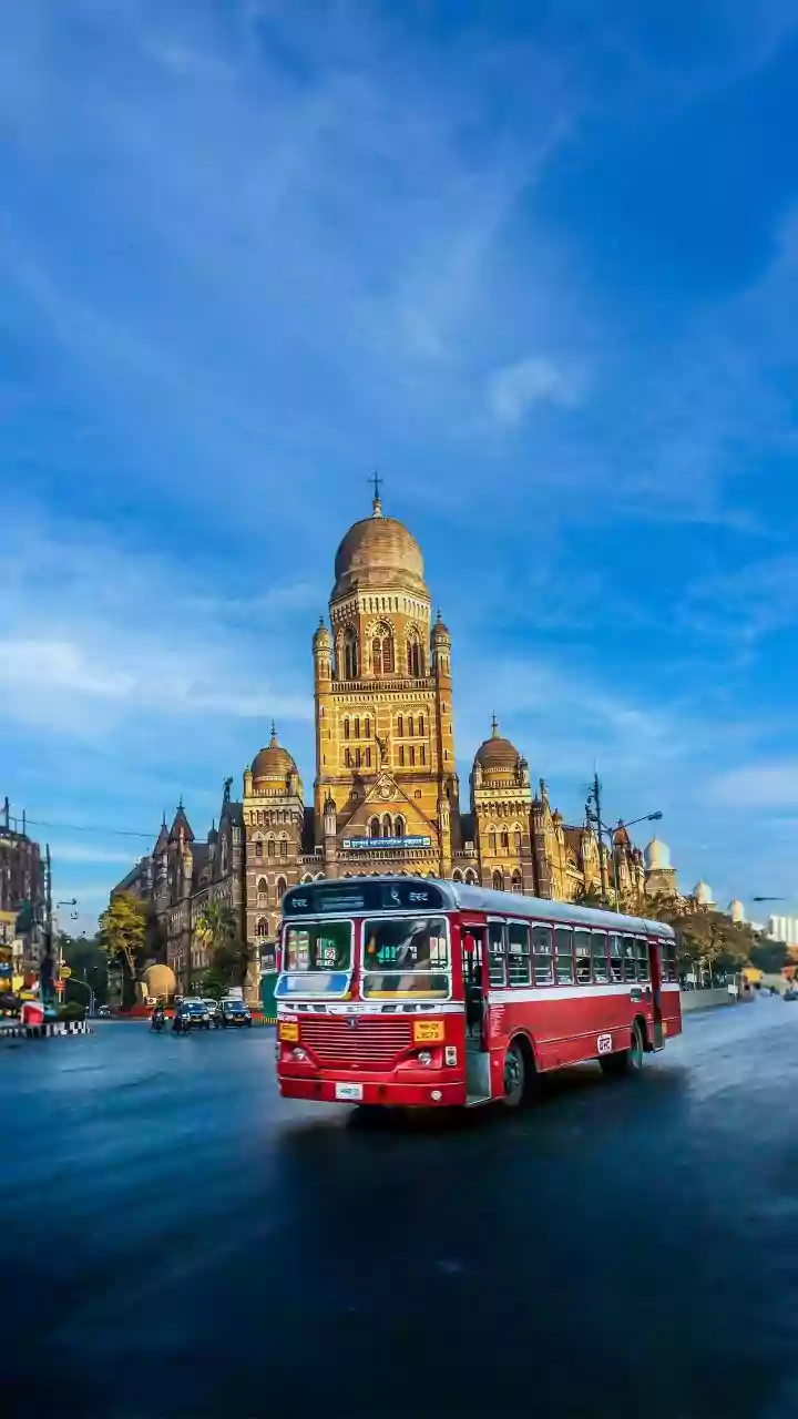 Shared Transport Can Add Flexibility without Removing Travel Risk