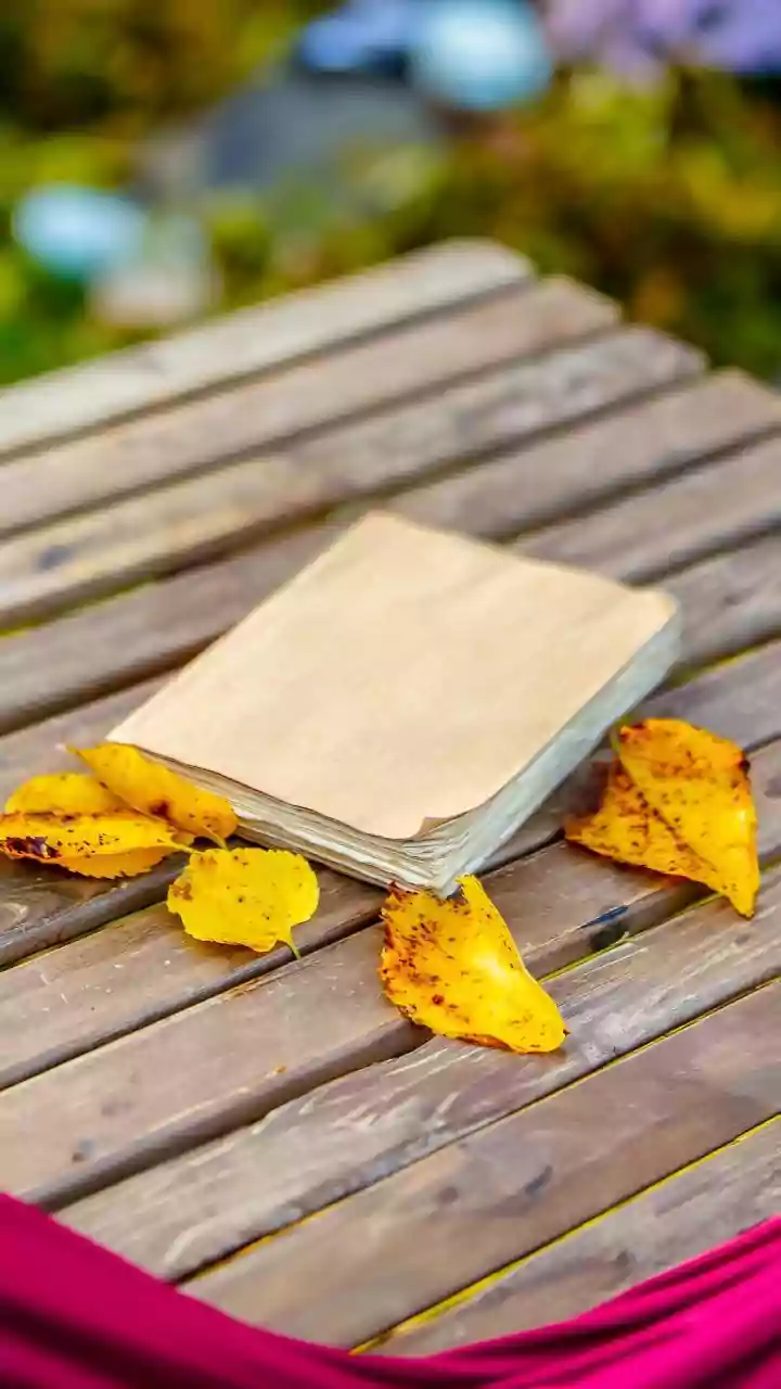 Decoding the Tarot: A Guide to the Cards