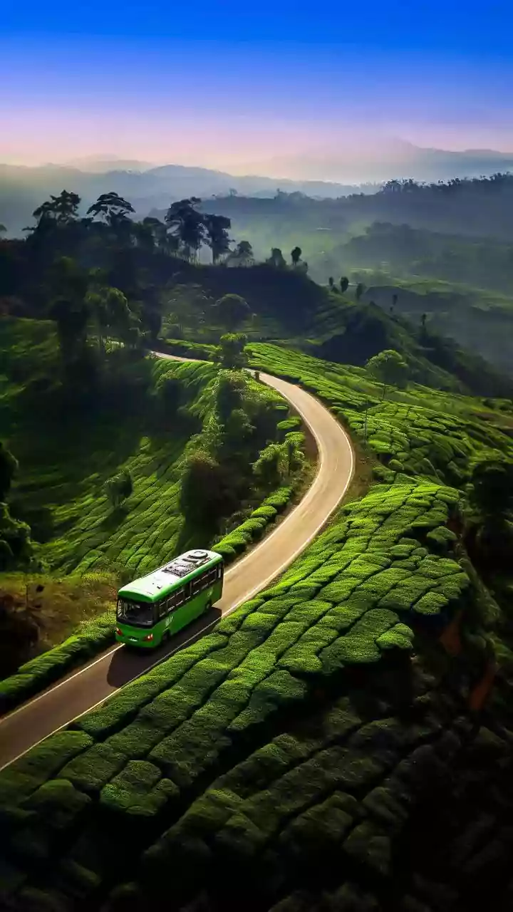 This Offbeat Western Ghats Travel Hack Is Going Viral