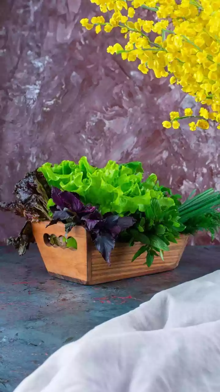 Mint, Chives And More: Balcony Herbs That Prefer Monsoon's Softer Light