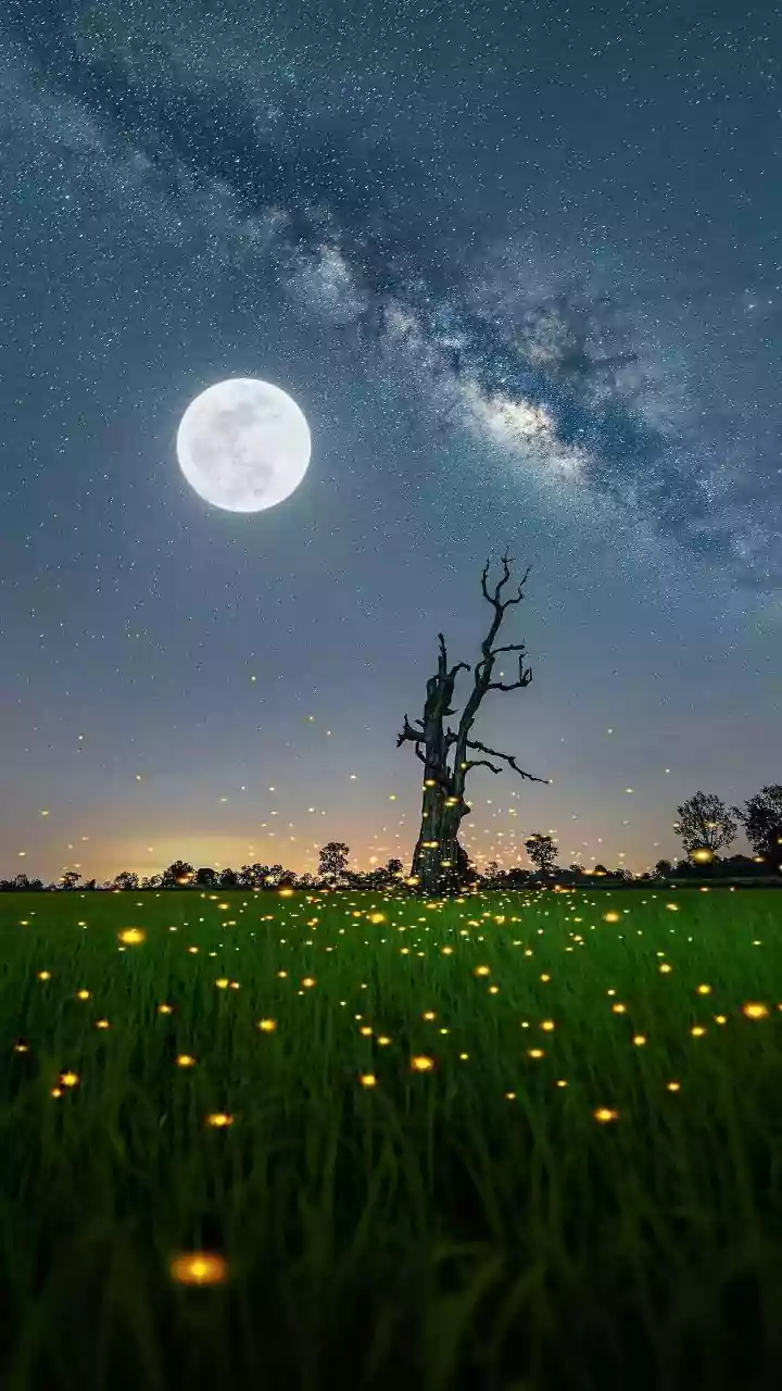 April 10, 2026: Unlocking the Cosmic Energies of Krishna Ashtami and Uttara Shadha Nakshatra