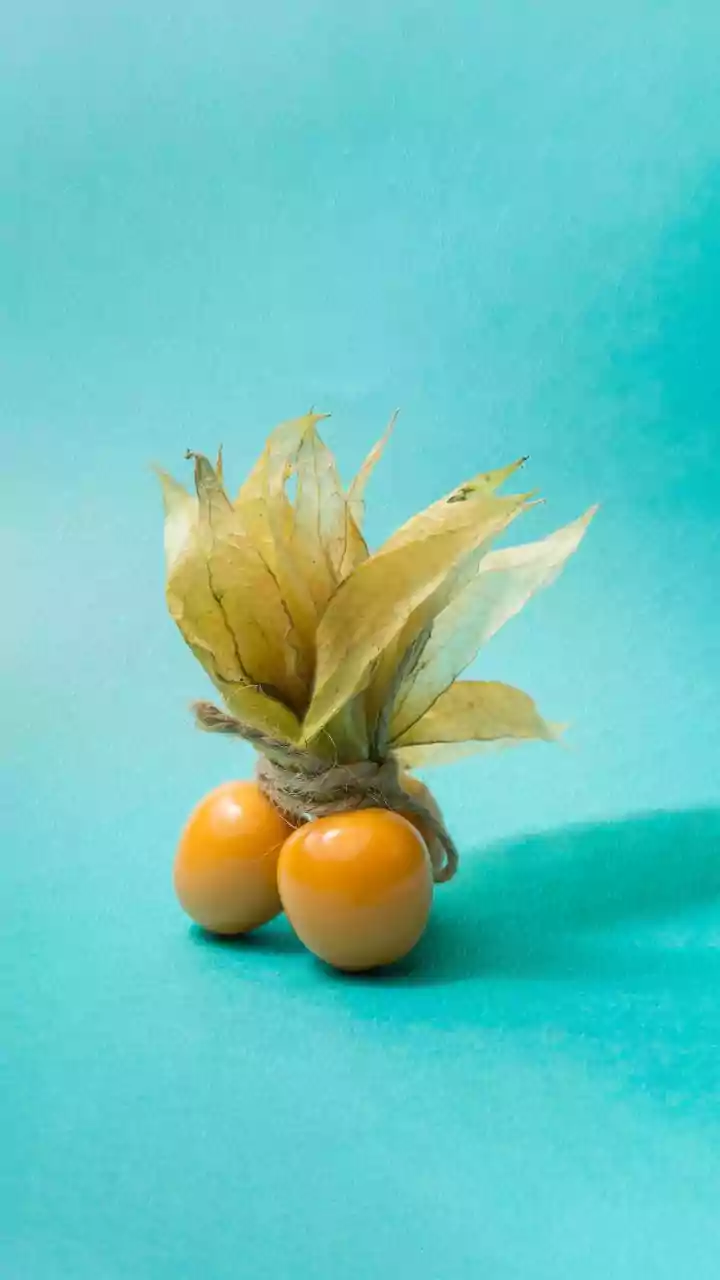 What are ground cherries?