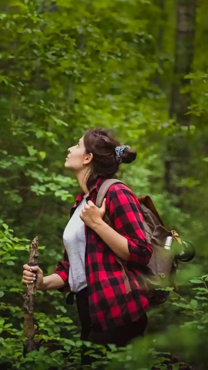 Forest Ingredients Need Responsible Sourcing And Careful Identification With Bring Wild Herbs, Leaves And Seasonal Produce Into Focus