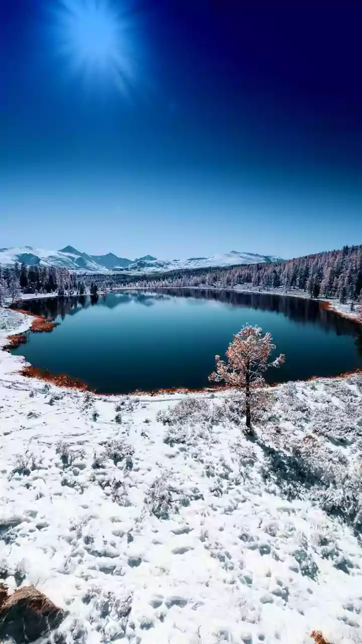 Kashmir Winters Gone Wild: Half-Naked Men’s ‘Jaat Ka Chhora’ Dance & Hookah In Snow Trigger 'Tourist Etiquette' Debate