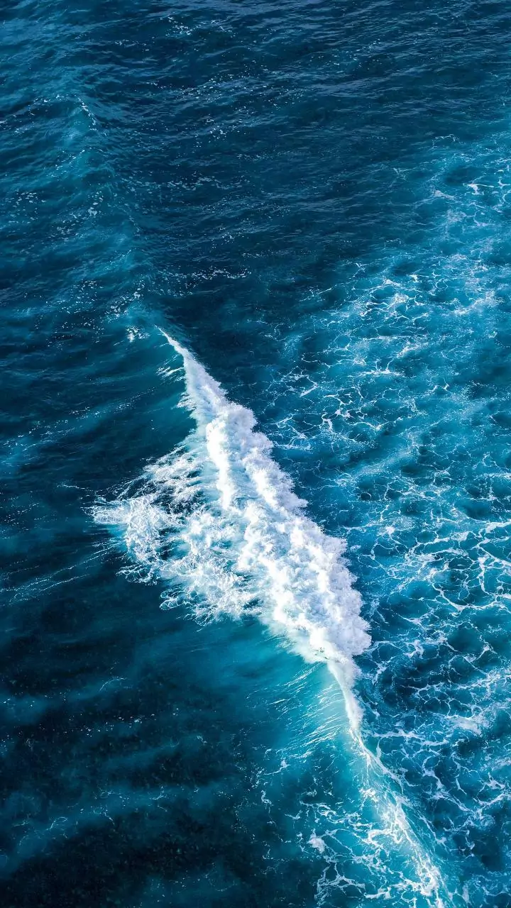 Pela primeira vez em 40 anos, o oceano quebrou seu ciclo natural: os ecossistemas estão em risco e alarmes soam entre os cientistas