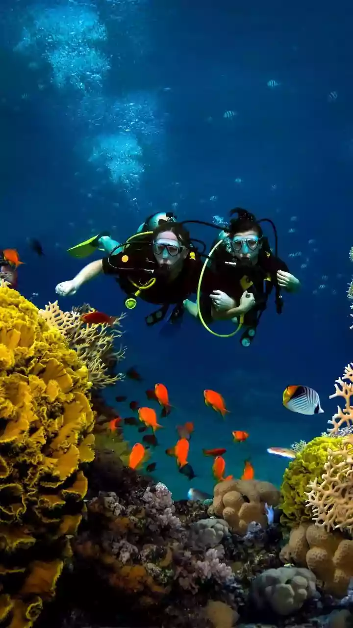 How Lakshadweep Enforces Eco-Friendly Travel Rules To Shield Fragile Coral Reefs From Scuba Divers
