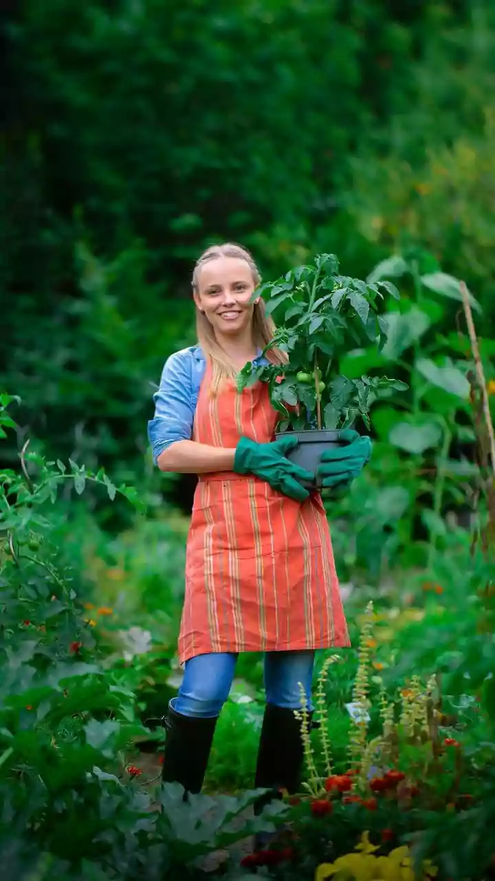 Indian Gardeners Are Choosing Native Plants Over Fancy Imports