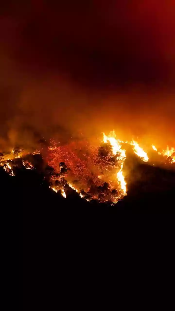 Incêndios na Amazônia registram mínimo histórico em 2025