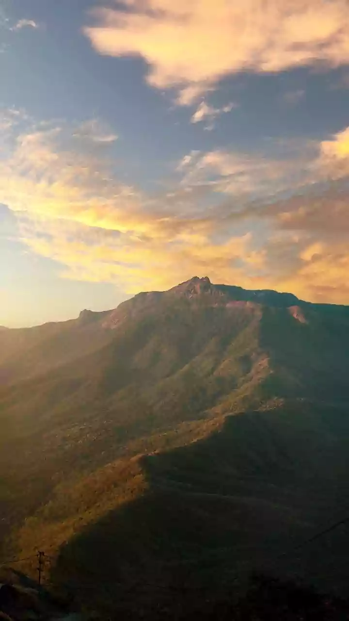 How Mindful Getaways In The Western Ghats Combine Breathtaking Mountain Views With Sustainable Eco-Stays