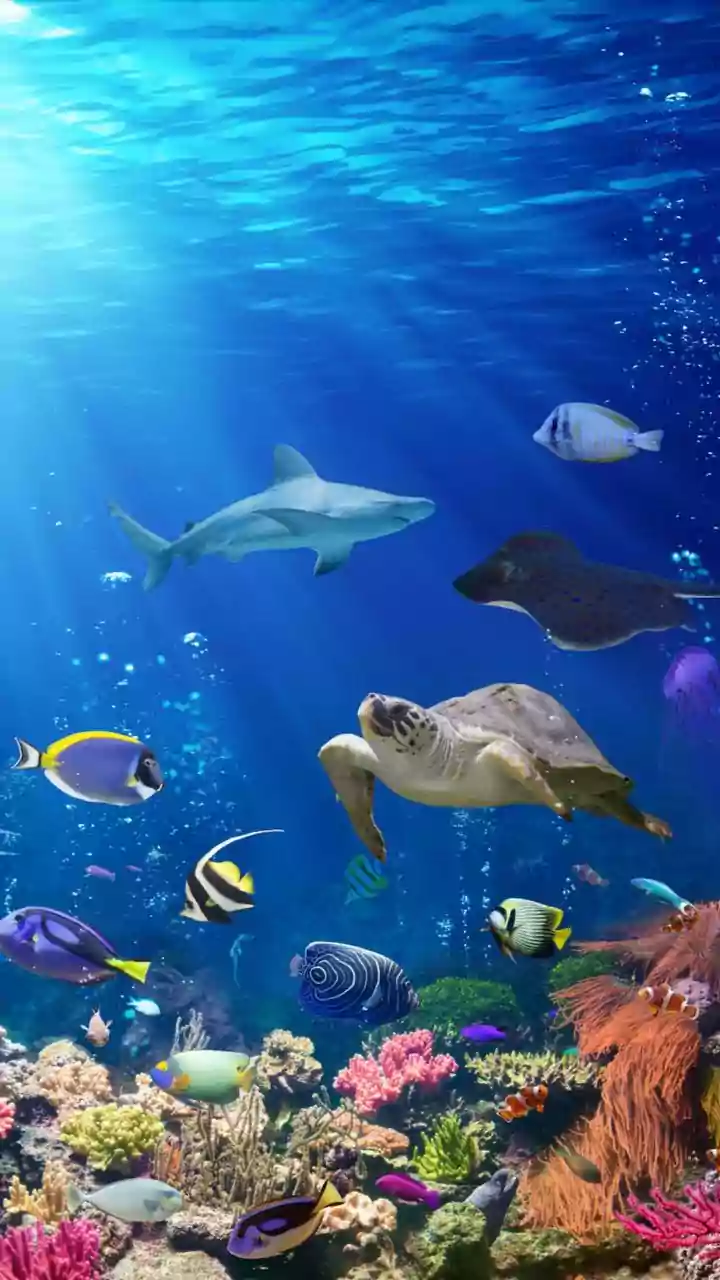 Nature's Early Warnings: 8 Animals That Sense Danger Before Humans