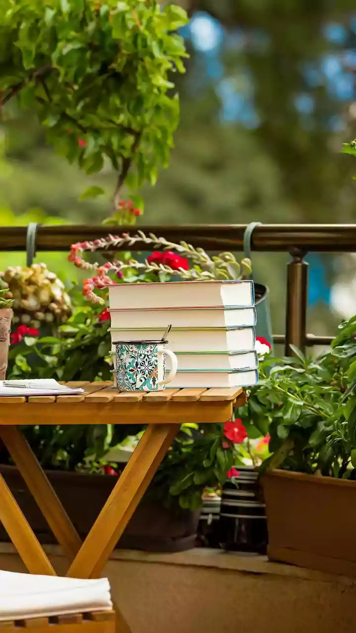 Monsoon Gardening For Tiny Spaces Starts Here