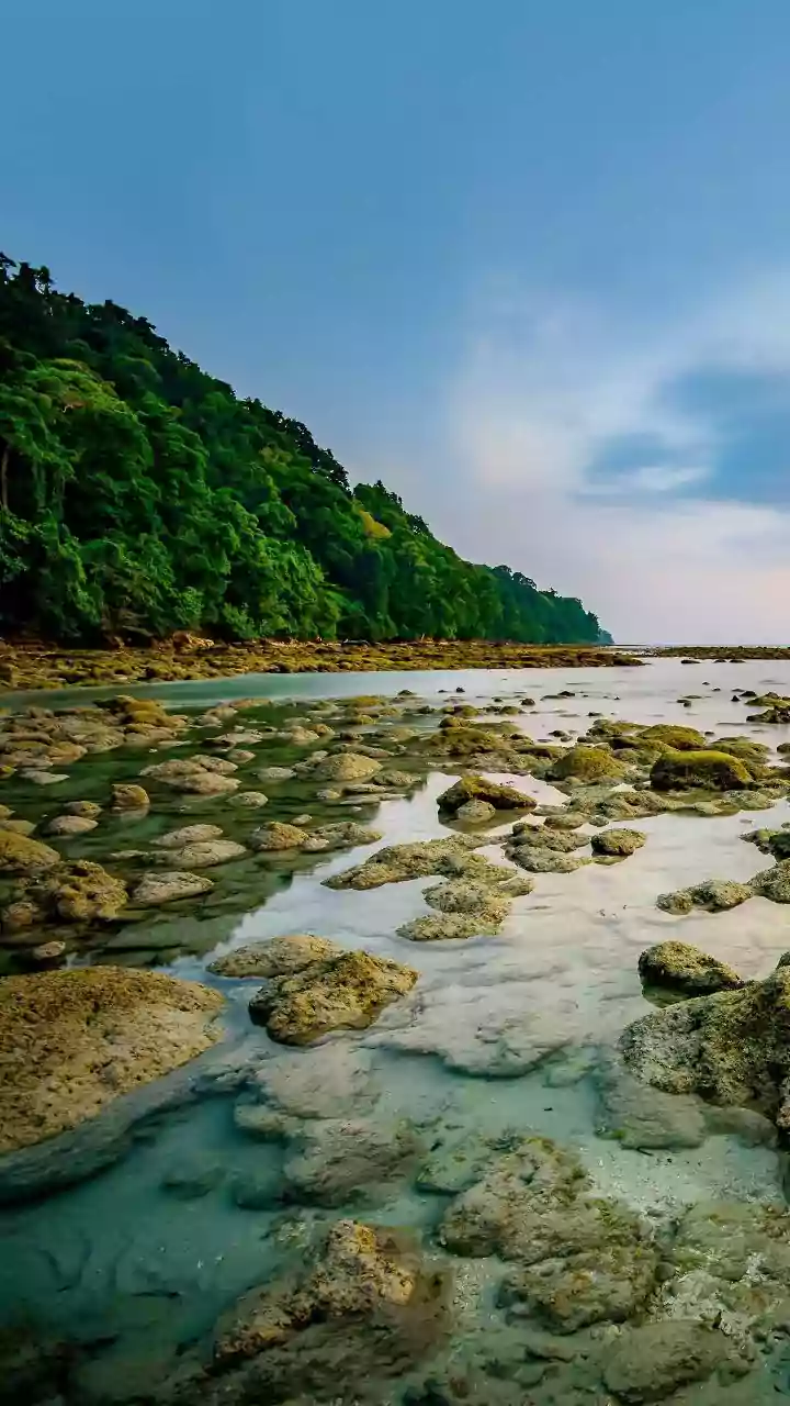 How Telemetry Sensors Improve Accuracy In Forecasting Tidal Floods In Sundarbans Mangroves