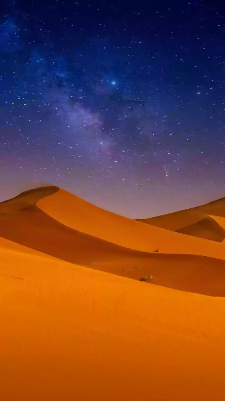 Gujarat to get Asia’s first desert-themed night safari: 2,700 animals, 83 species, and ₹542 crore zoo gets nod