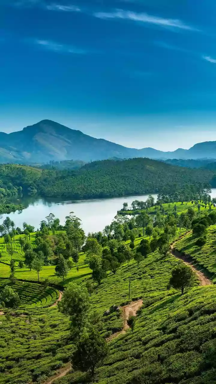 Uncover South India's Hidden Escapes: Secret Hill Stations for Serene Getaways