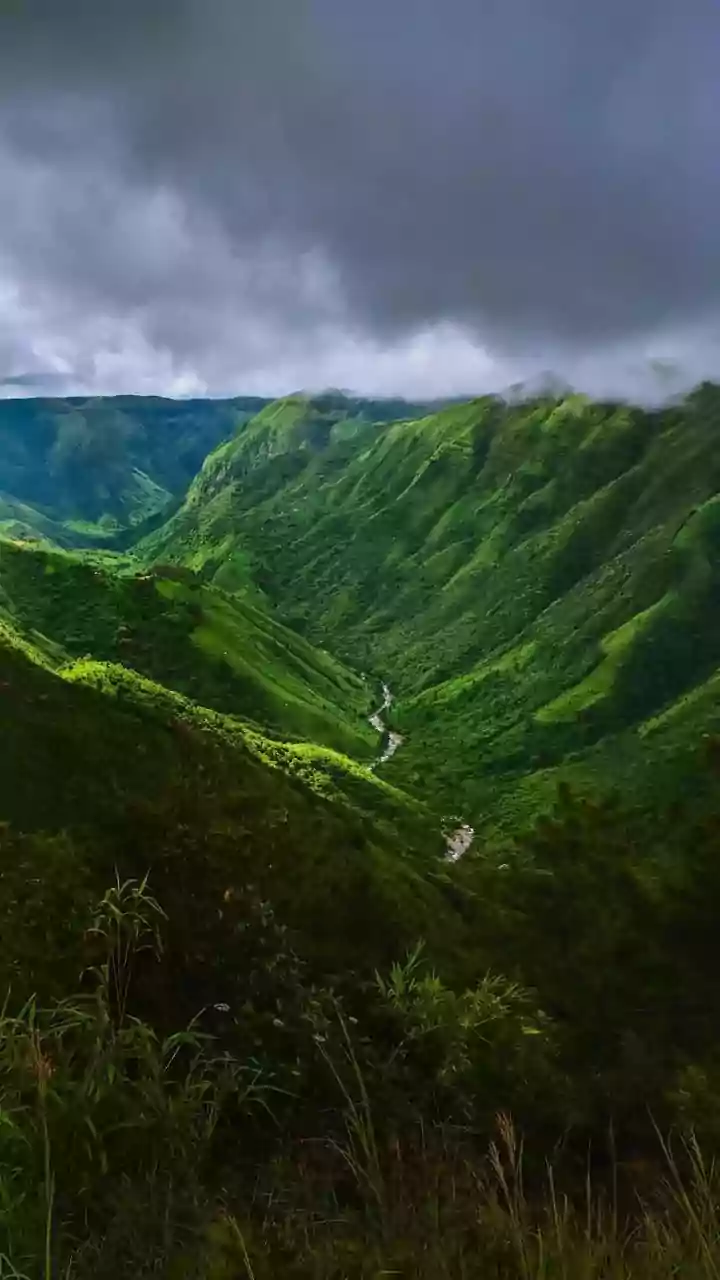 Meghalaya's AI Triumph: A Model for Tech Advancement