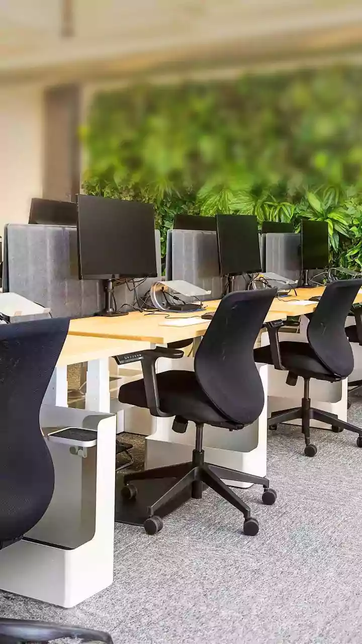 Future-Proof Your Career: 6 Ways to Beat AI Layoffs