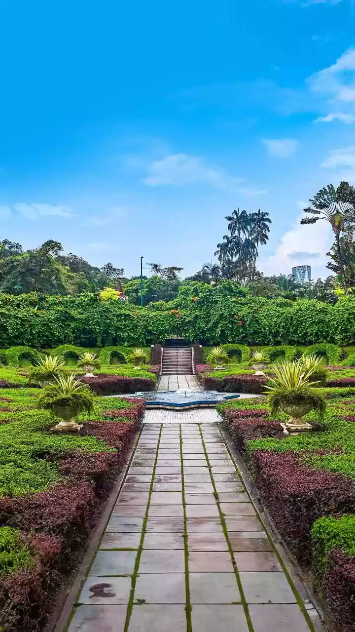 The Low-Water Gardening Shift: A Practical Take On Water-Smart Garden Design