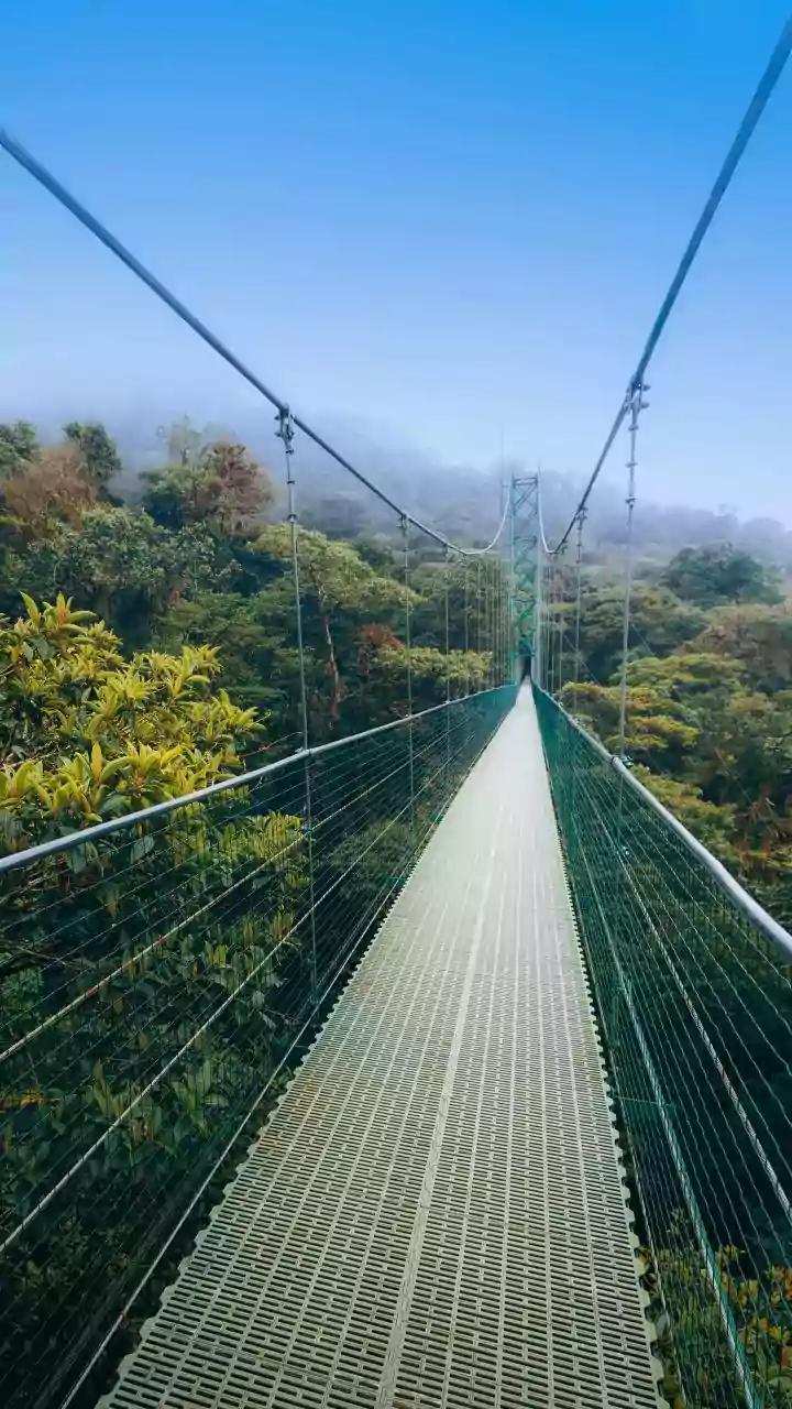See Monsoon Forests From A Whole New Angle