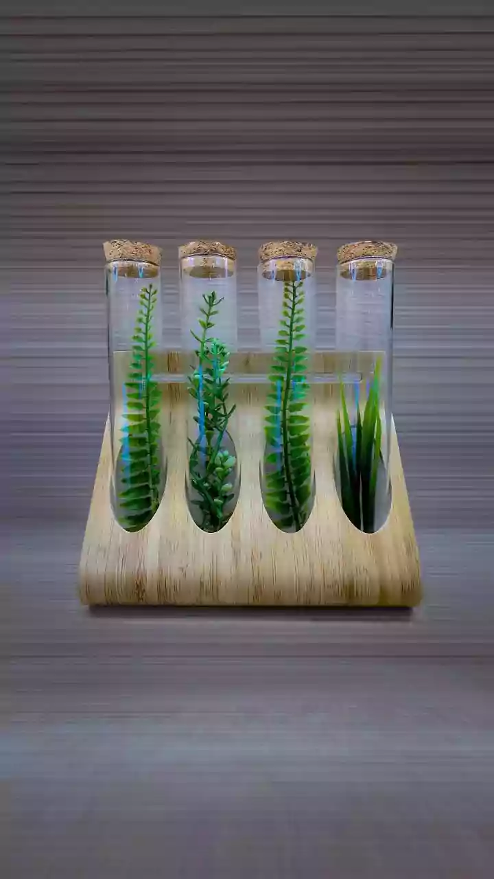 Do plants grow faster with sound?