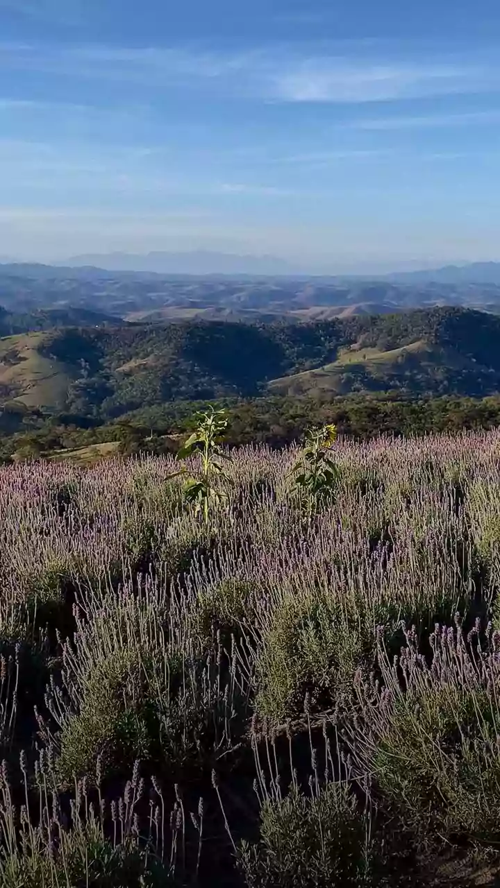 Fuja dos preços altos! 5 destinos de inverno baratos que parecem Campos do Jordão
