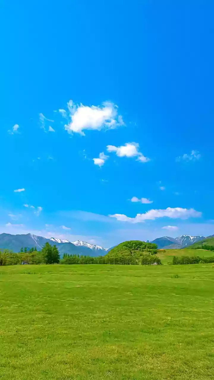 Unlocking Depression Relief: The Power of a Simple Habit