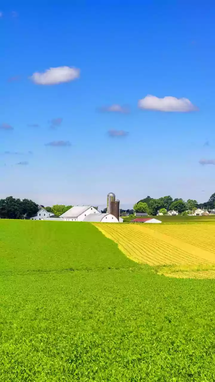 Budget 2026: Capital Gains Relief for Land Transactions?