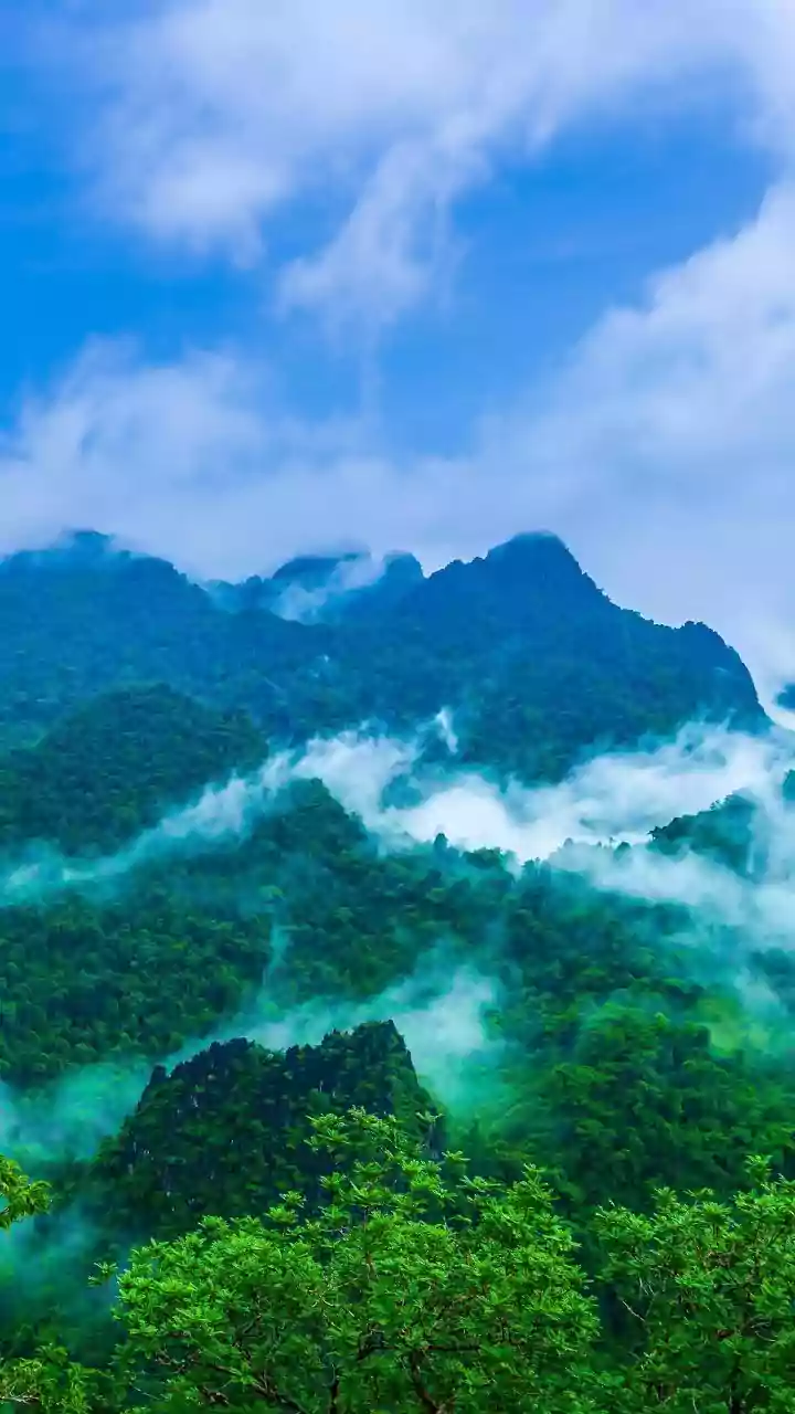 Misty Mountains Make These Treks Unmissable This Season