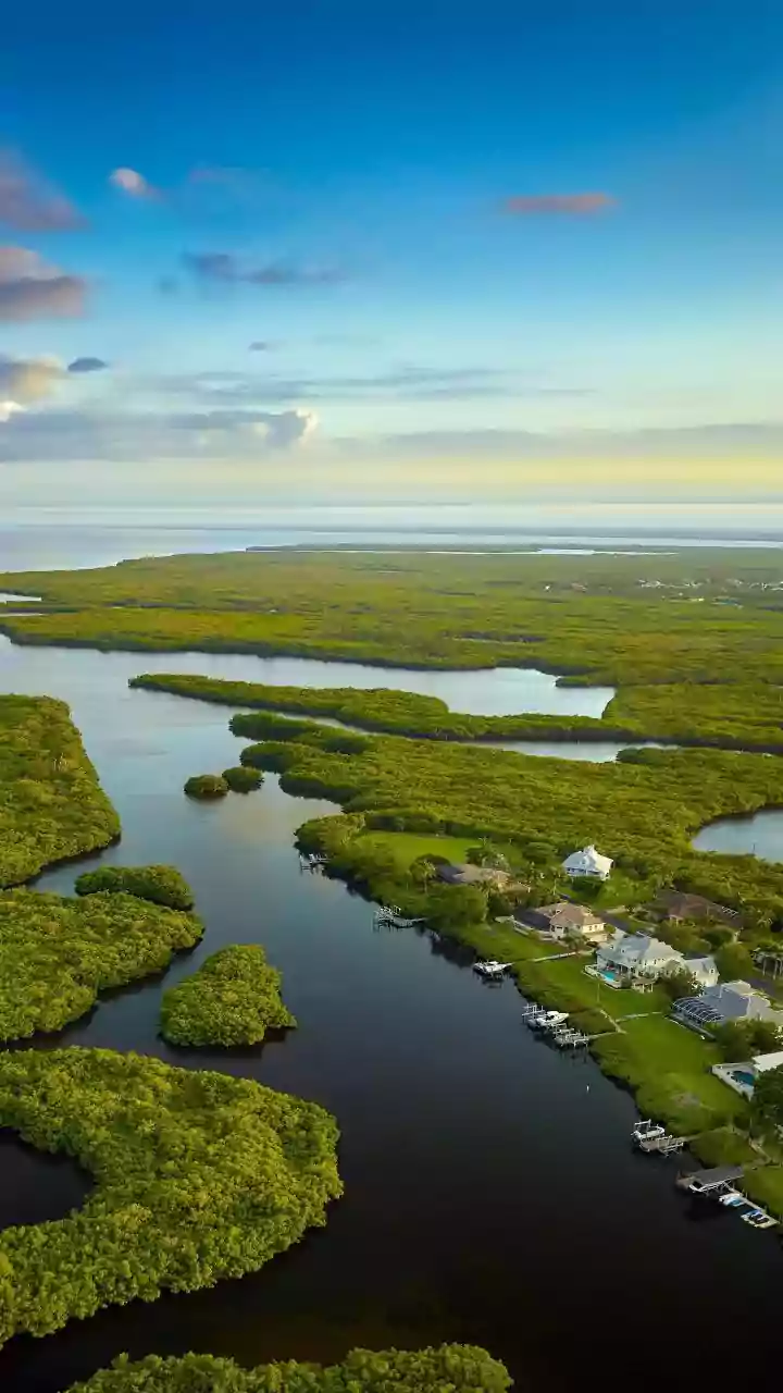 Scientists Are Looking at Coastlines as Part of the Planet's Carbon System