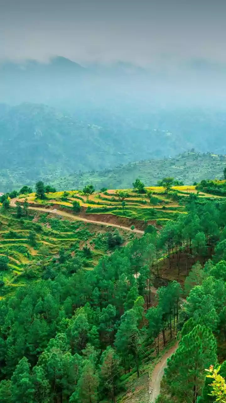 Uneven Rain Could Create Problems For Kharif Farming
