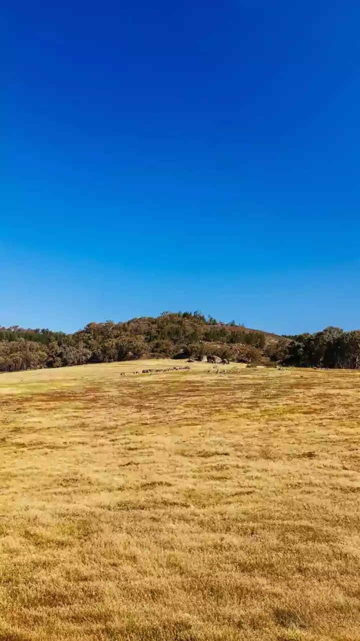 Understanding Mental Health: A Guide