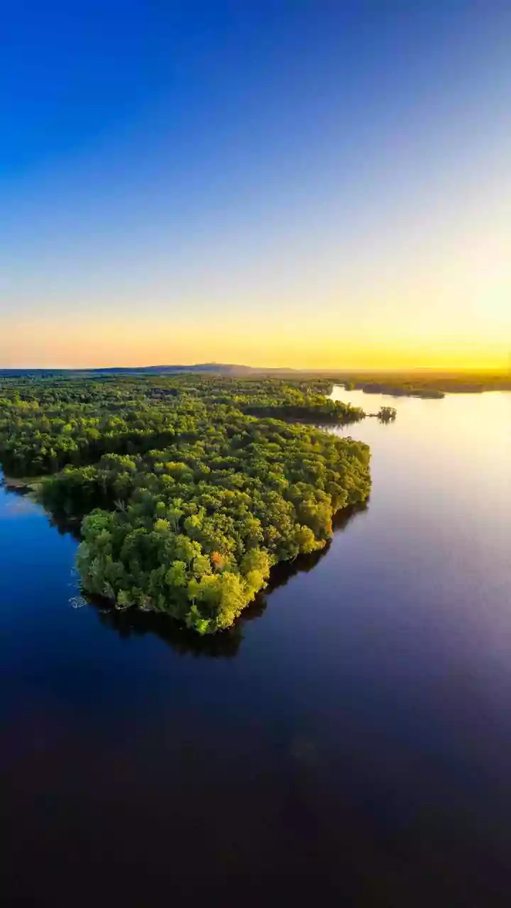 Pichavaram Mangroves: Tamil Nadu's Ecological Sentinel and Second-Largest Forest