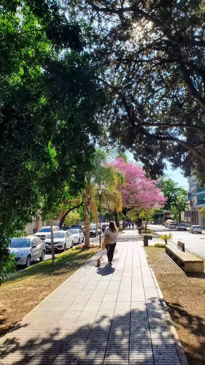 Walk Your Way to Wellness: Diabetes & BP